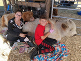 The Pink Pigs, Animal Lover's Boutique 5 DONATION