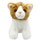 The Puppet Company (US) The Puppet Company (US) - Wilberry Mini Cat Plush Toy - Ginger