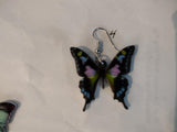 AliExpress Earrings Chicken and Rooster and Bee and more Acrylic Animal Earrings