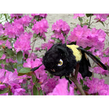 Faire-Steel Dog Dog Toys Ruffian Bumble Bee Dog Toy- Durable