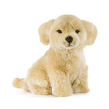 Plush Lifelike Golden Retriever Puppy Small Size 28cm/11