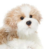 One Coast Plush Animals Plush Mixed Breeds: Maltipoo, Terrier Mix, & Labradoodles