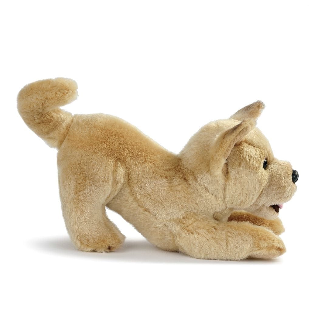 One Coast Plush Animals Plush Mixed Breeds: Maltipoo, Terrier Mix, & Labradoodles